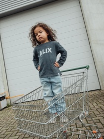 Alix_Mini_shopping_car